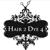 Hair 2 Dye 4 Salon